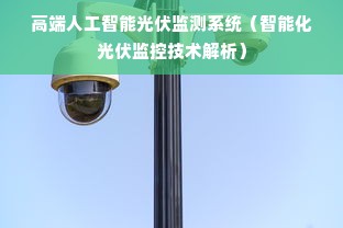 高端人工智能光伏监测系统（智能化光伏监控技术解析）