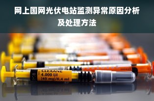 网上国网光伏电站监测异常原因分析及处理方法