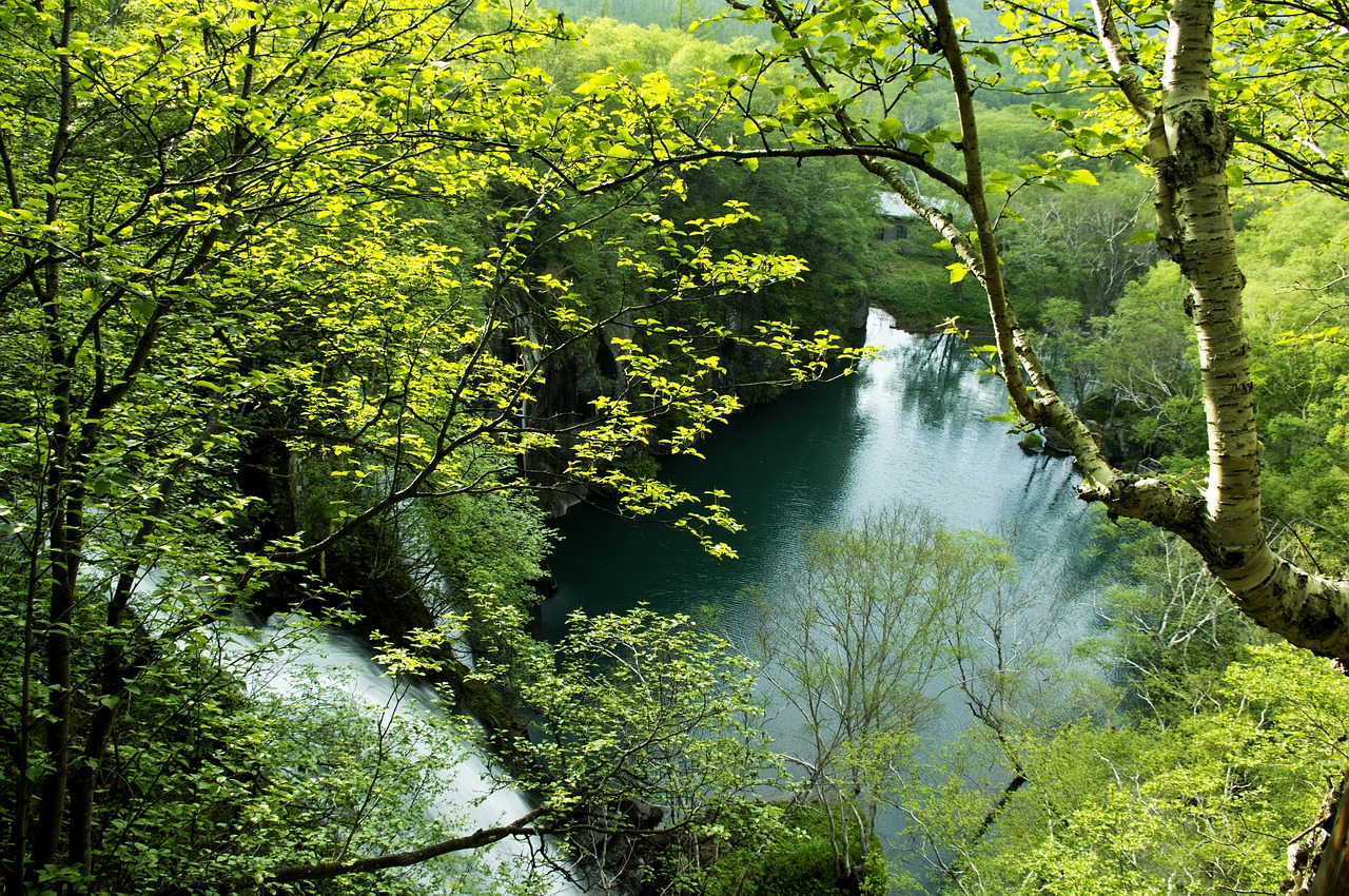 石板塘水文监测，守护绿水青山