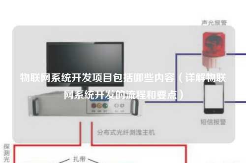 物联网系统开发项目包括哪些内容（详解物联网系统开发的流程和要点）